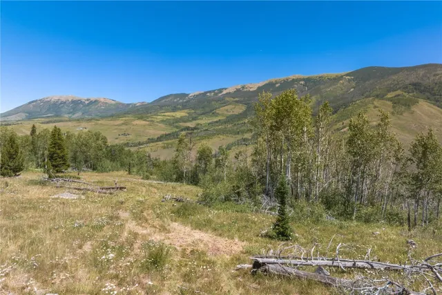 $5,642,500 | Tbd Tbd Whetstone Drive, Unit 5, Silverthorne, CO 80498