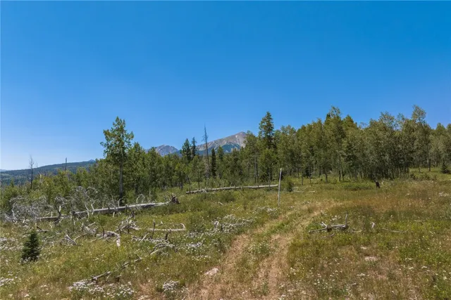 $5,642,500 | Tbd Tbd Whetstone Drive, Unit 5, Silverthorne, CO 80498