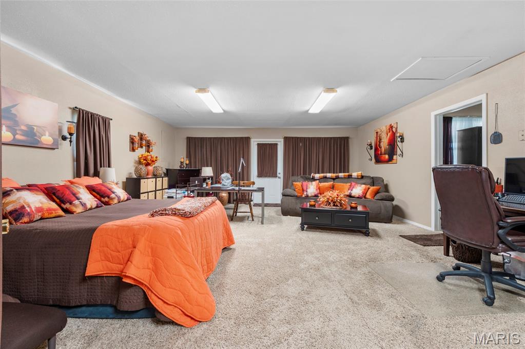 723 Bunker Hill Road Staunton, IL 62088 - Photo 20 of 30