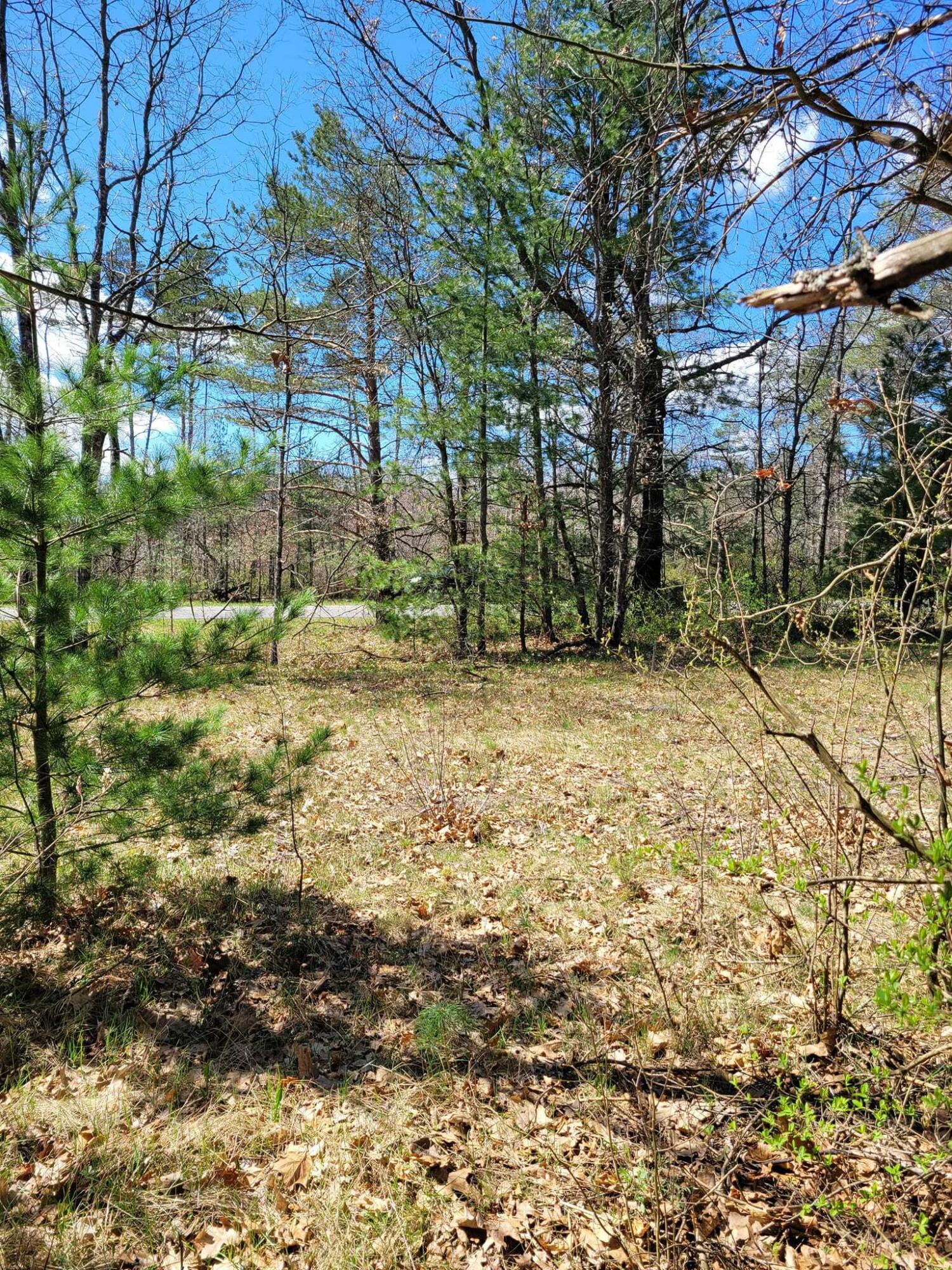 V/l West County Line Road Newaygo, MI 49337 - Photo 2 of 6 2
