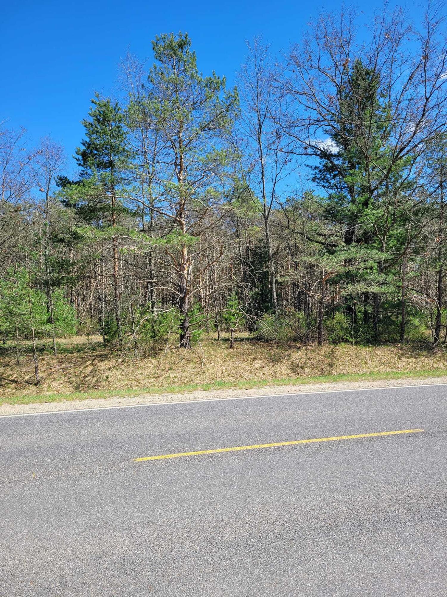 V/l West County Line Road Newaygo, MI 49337 - Photo 4 of 6 4