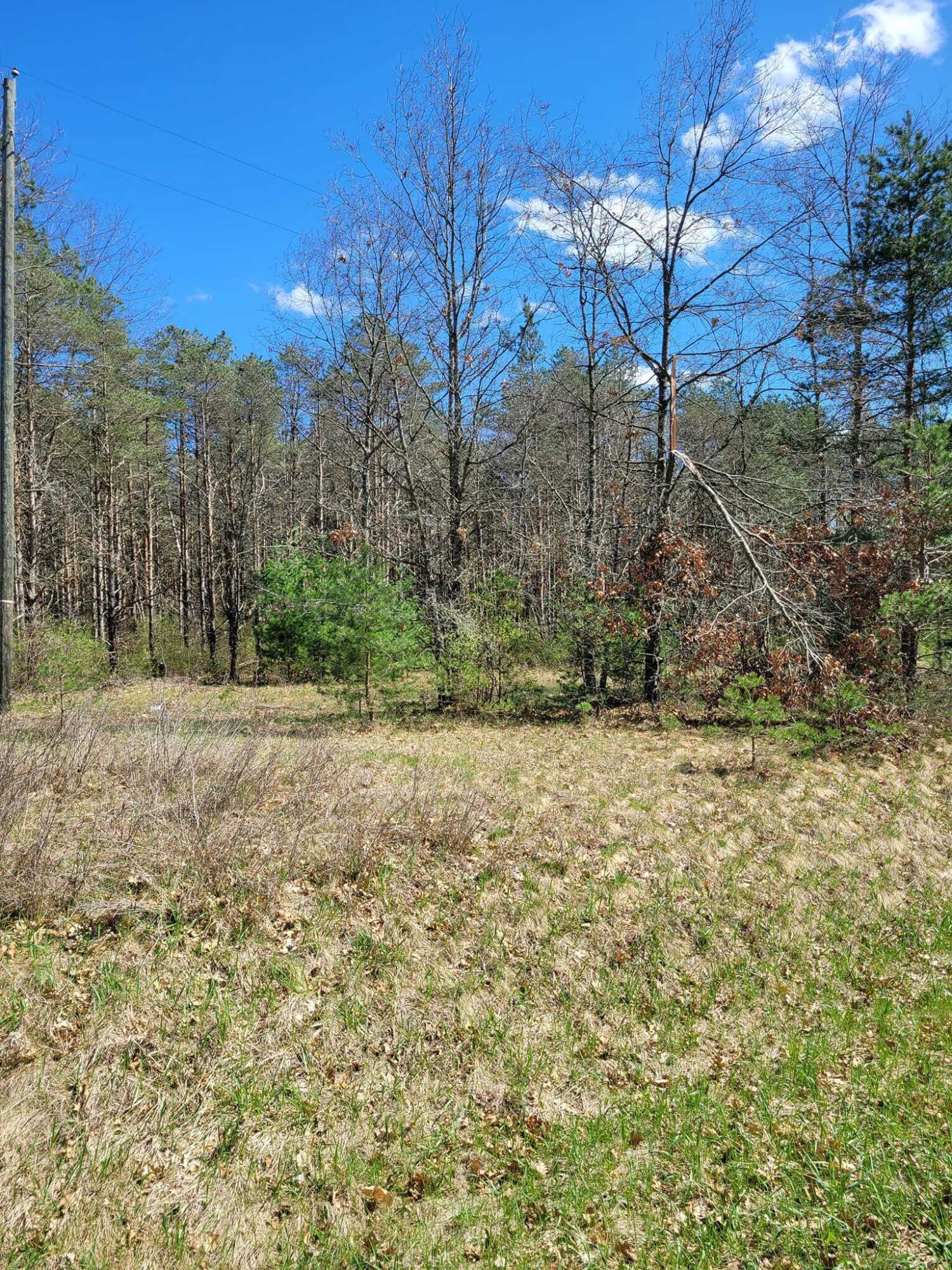 V/l West County Line Road Newaygo, MI 49337 - Photo 5 of 6 5