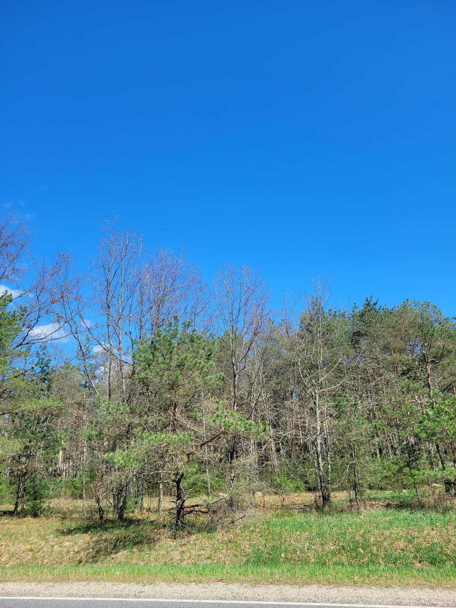 V/l West County Line Road Newaygo, MI 49337 - Photo 6 of 6 6