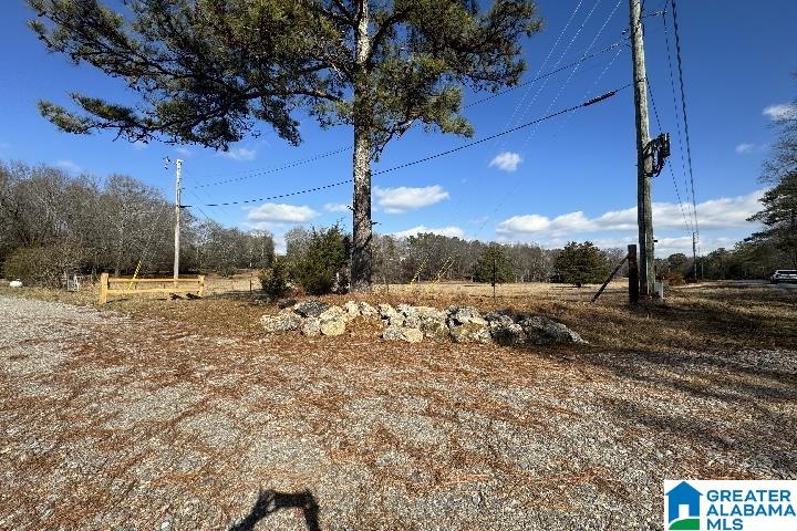 1036 Rushing Springs Road Lincoln, AL 35096 - Photo 52 of 58