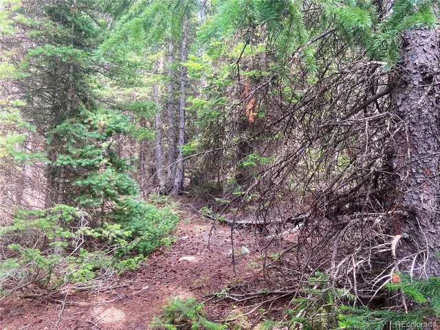 a backyard of a house with lots of trees