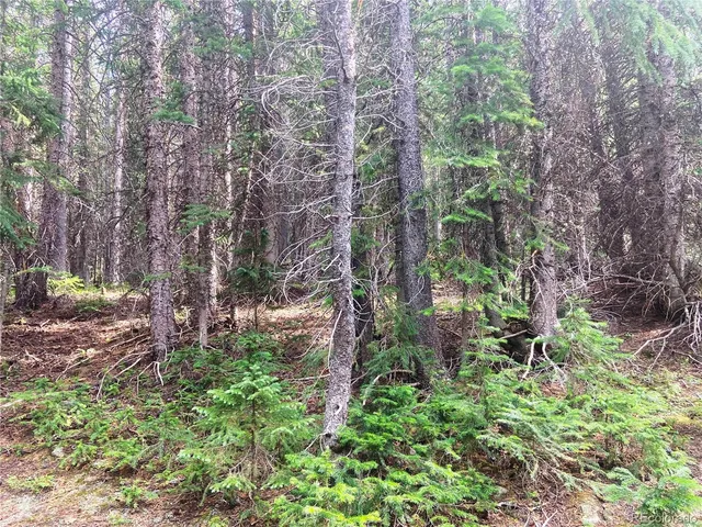 a backyard of a building with lots of green space