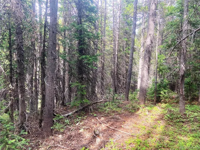 a backyard of a house with lots of green space and fog