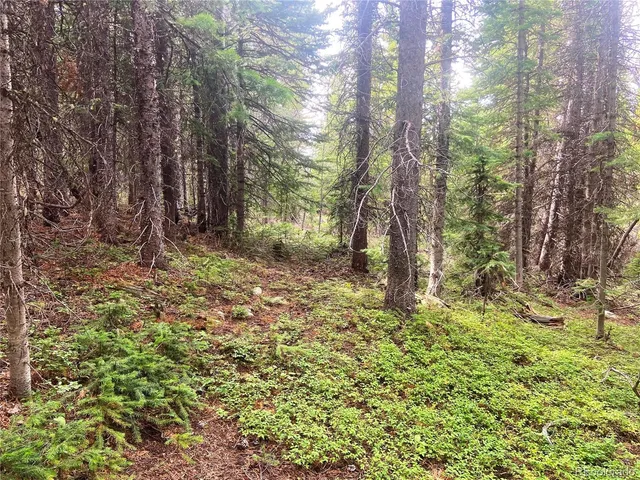 a big yard with lots of green space and house in the back