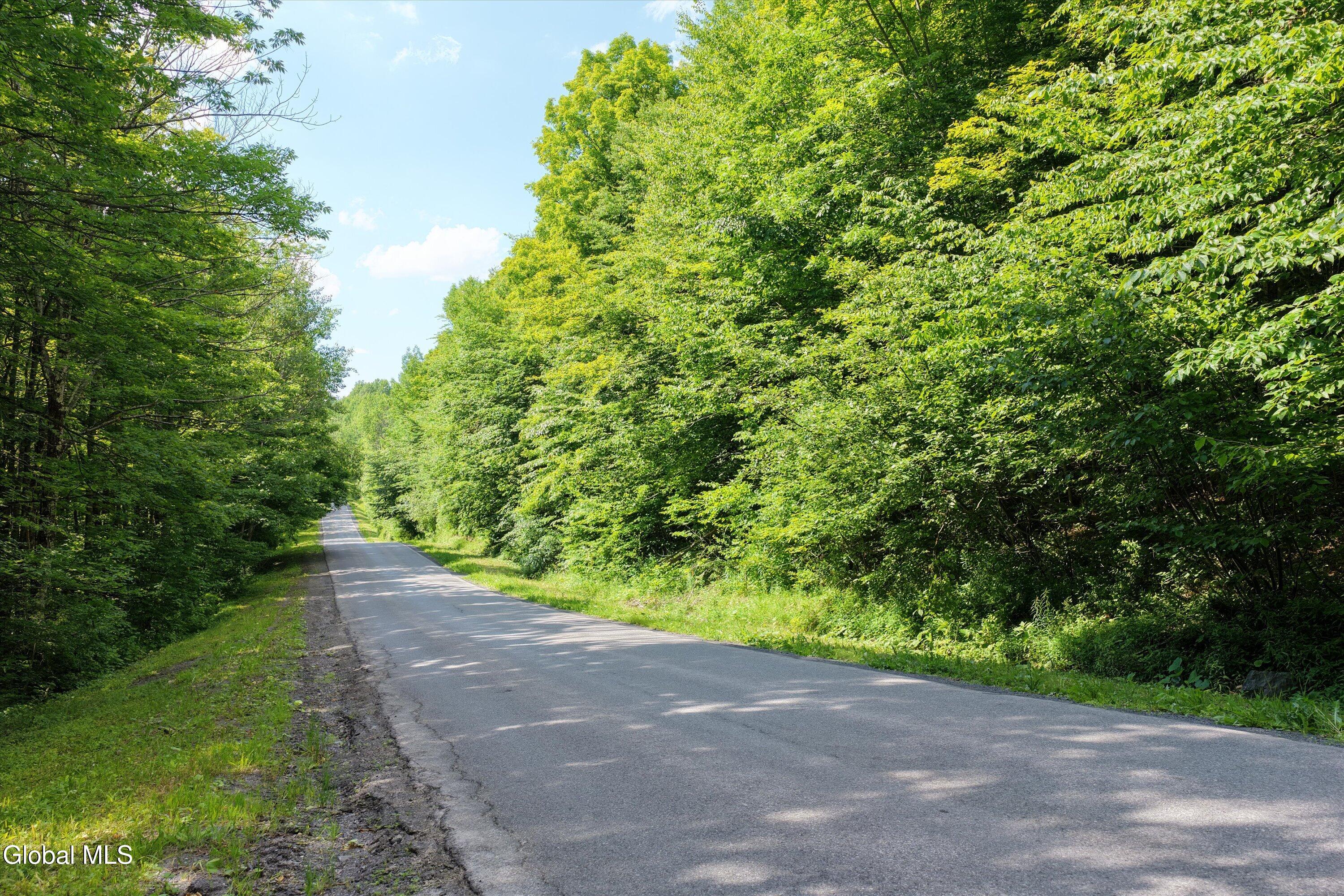 L27.5 L27.5 Gorton Lake Road Waterville, NY 13480 - Photo 7 of 15 07-Gorton Lake Rd-09