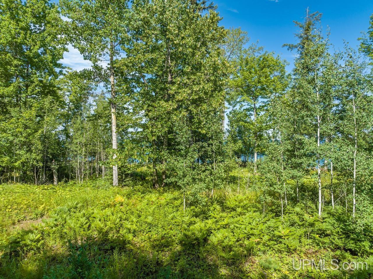 2 Eagles Nest Road Marquette, MI 49855 - Photo 16 of 37