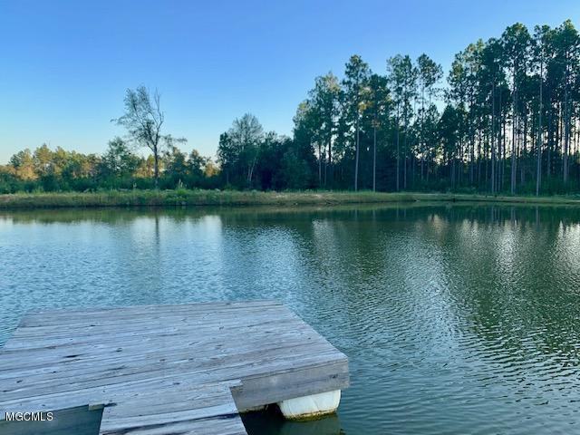 24845 Pine Road Lucedale, MS 39452 - Photo 48 of 57 POND