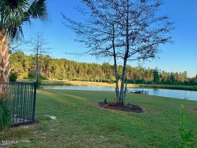 24845 Pine Road Lucedale, MS 39452 - Photo 49 of 57 POND