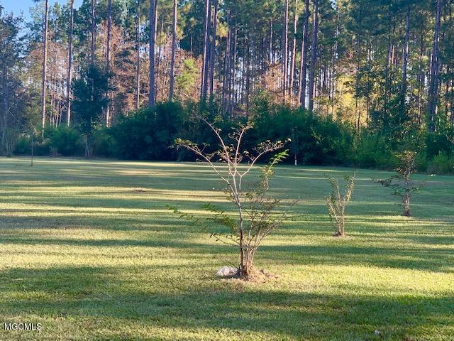 24845 Pine Road Lucedale, MS 39452 - Photo 50 of 57 PROPERTY