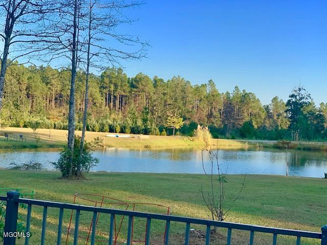 24845 Pine Road Lucedale, MS 39452 - Photo 6 of 57 POND