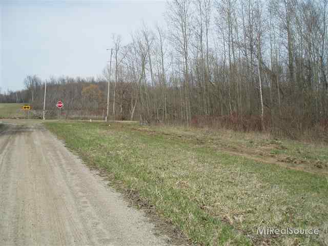 V/l Snover Road Carsonville, MI 48419 - Photo 2 of 6