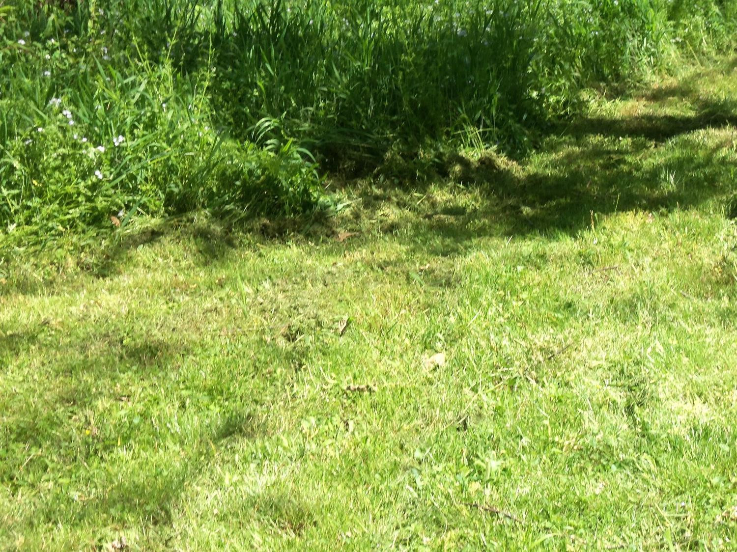 1012 Tom Hackley Road Danville, KY 40422 - Photo 81 of 84 Photo 81