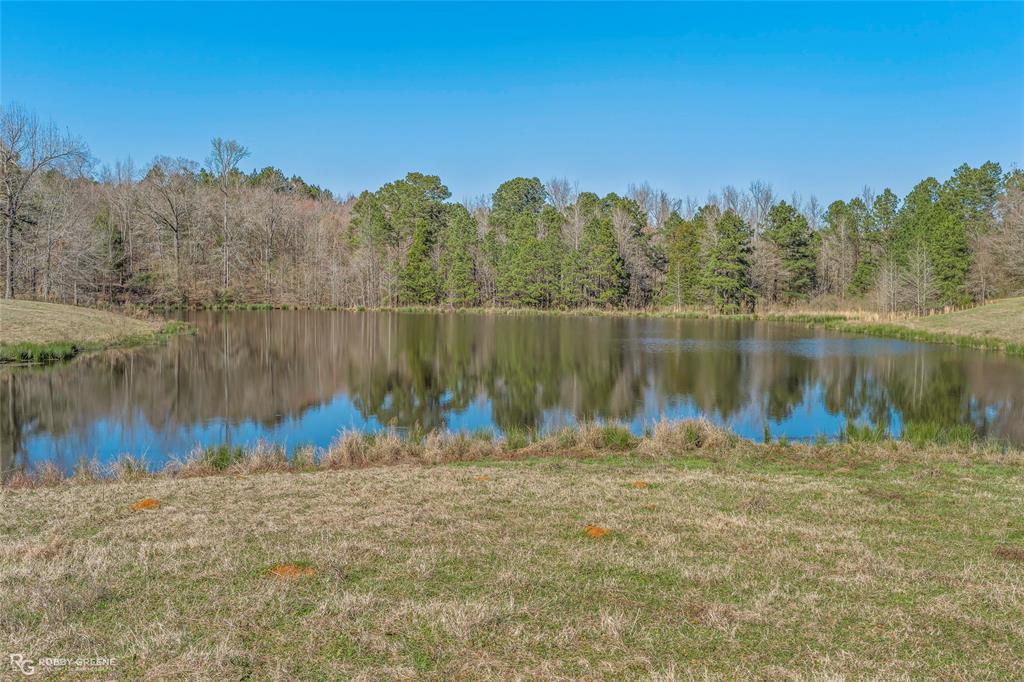203 Thomas Road Athens, LA 71003 - Photo 12 of 20