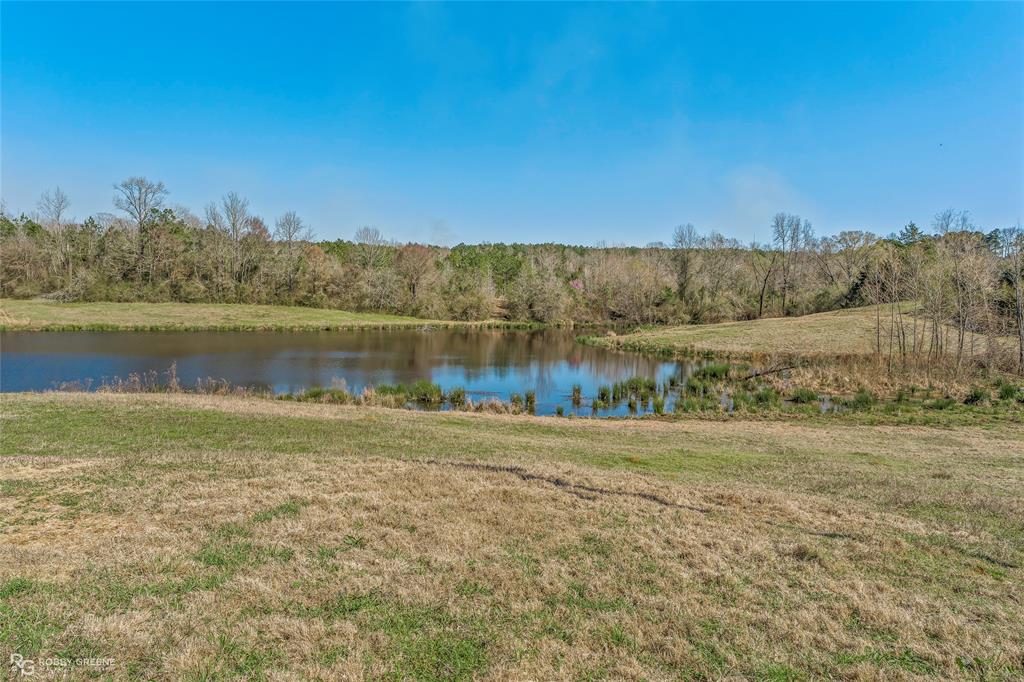 203 Thomas Road Athens, LA 71003 - Photo 3 of 20