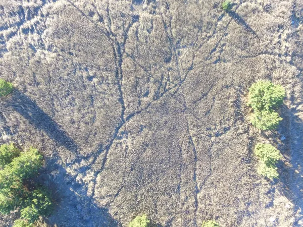 $89,000 | Tbd Leaf River Road, Ottertail, MN 56571