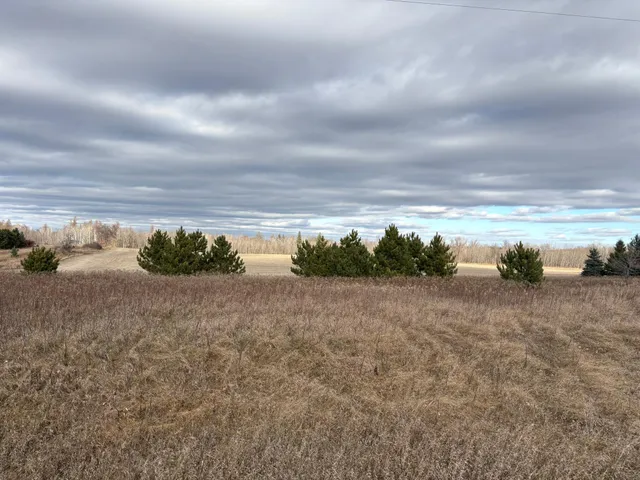 $105,000 | Tbd Tbd Leaf River Road, Ottertail, MN 56571