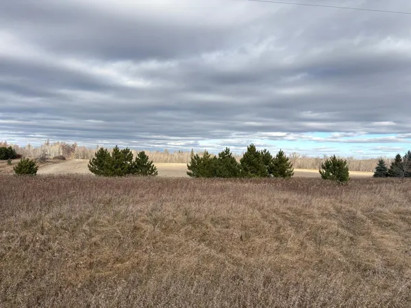 $89,000 | Tbd Leaf River Road, Ottertail, MN 56571