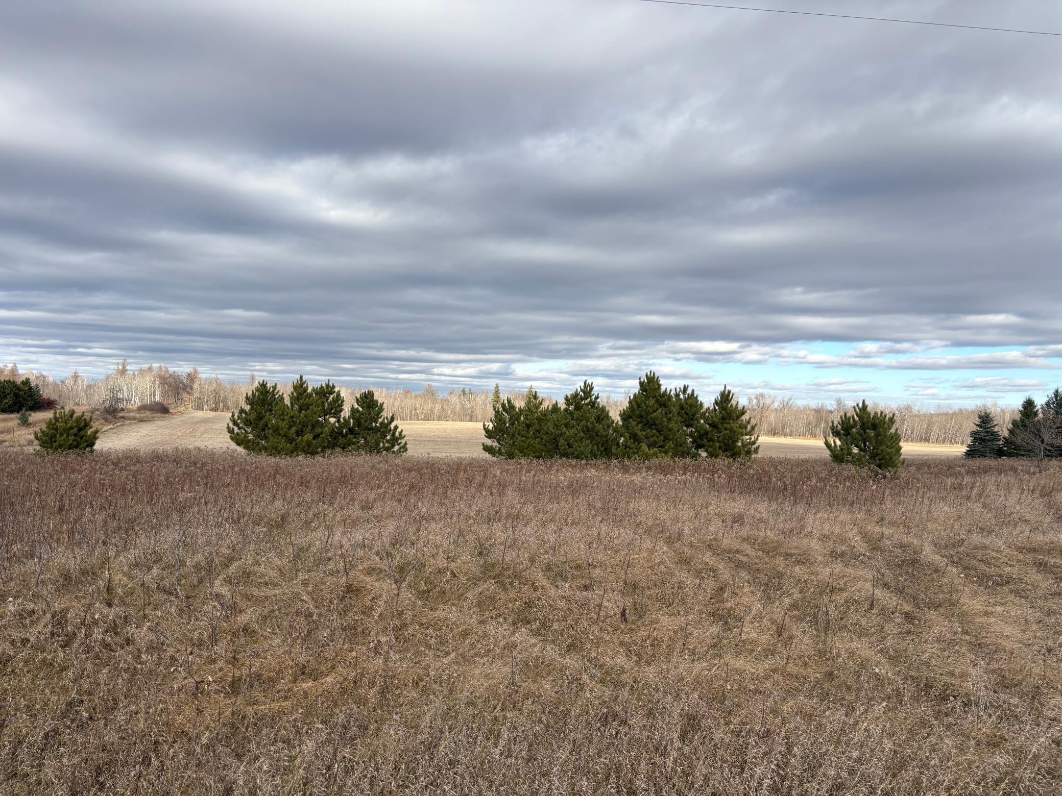 Tbd Leaf River Road Ottertail, MN 56571 - Photo 7 of 20