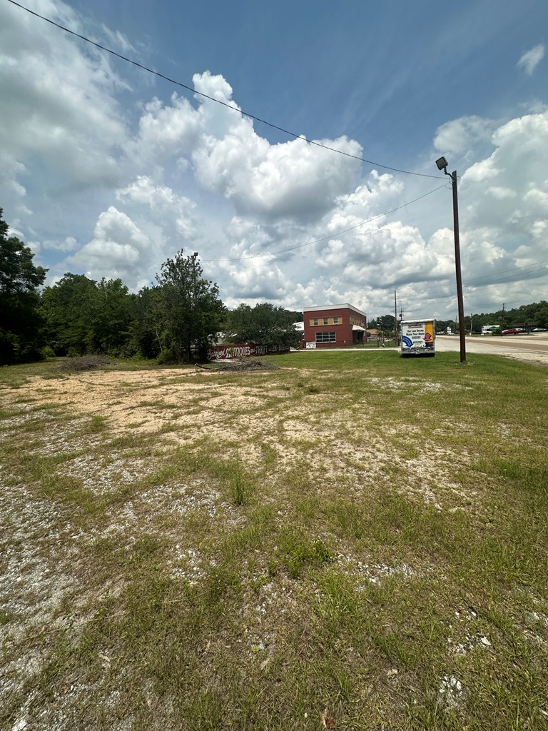 0 Opelika Road Phenix City, AL 36867 - Photo 3 of 4 a view of a ocean view