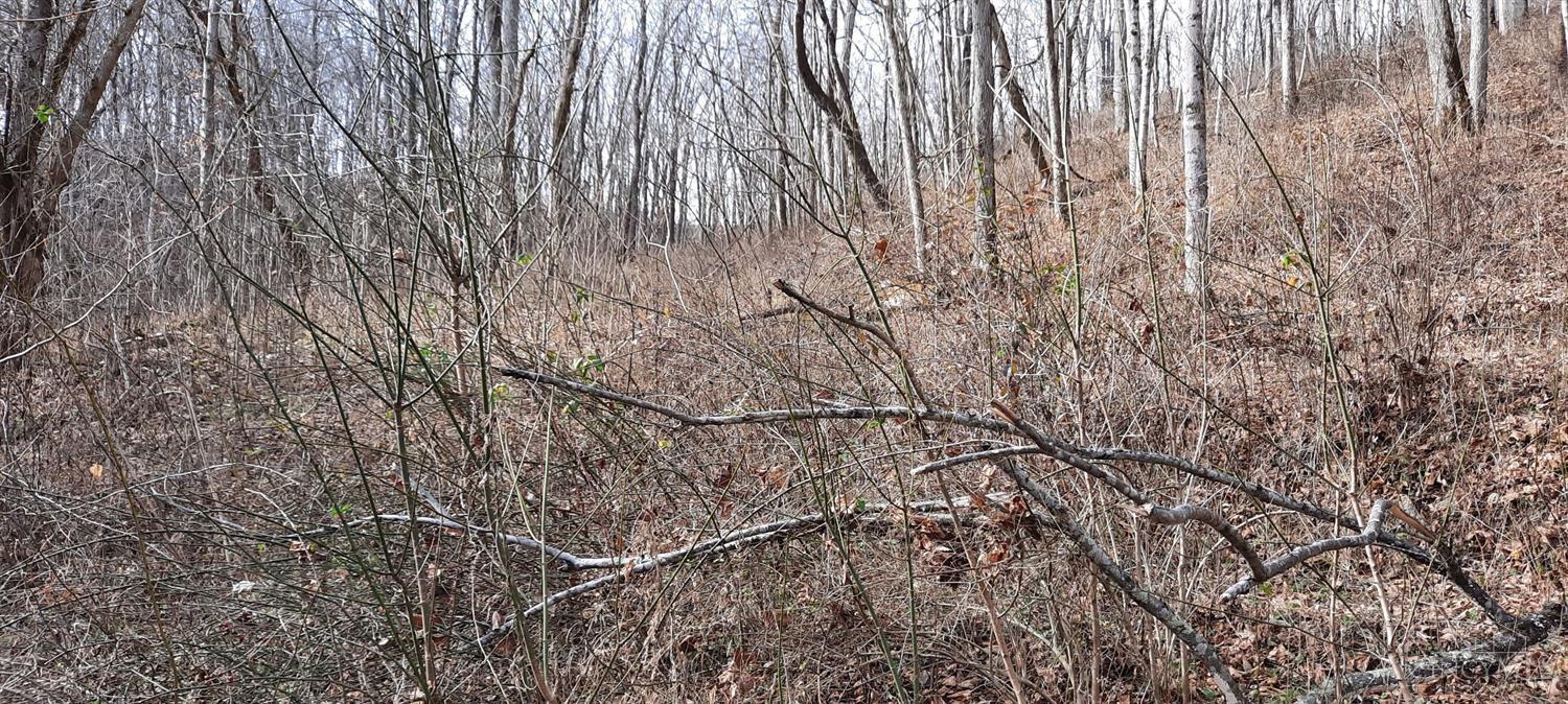 2.38-ac Myers Hollow Road Ripley, OH 45167 - Photo 8 of 11