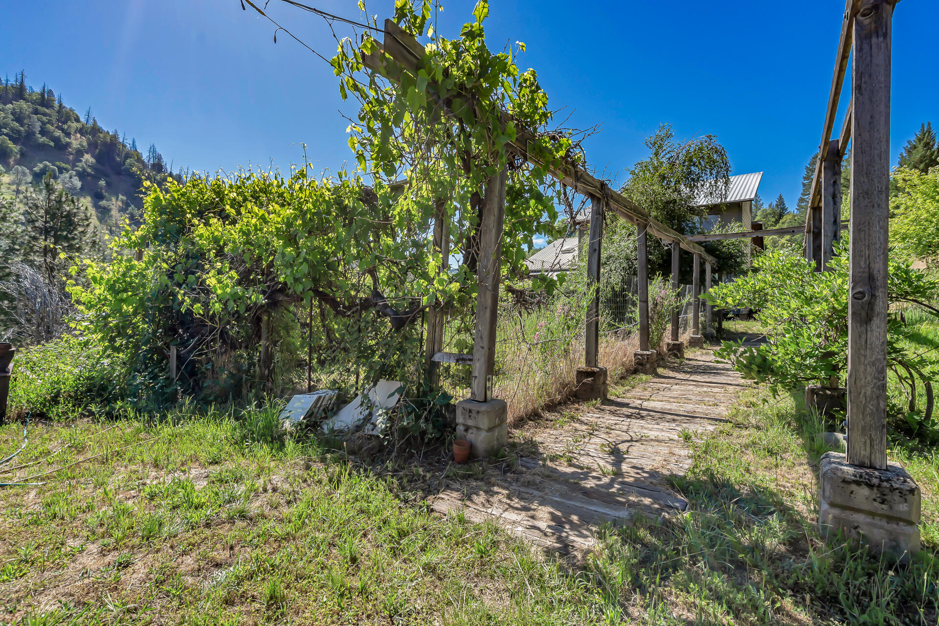 351 B-Bar-K Road Douglas City, CA 96024 - Photo 22 of 77 351BBarKRanchRoad-21