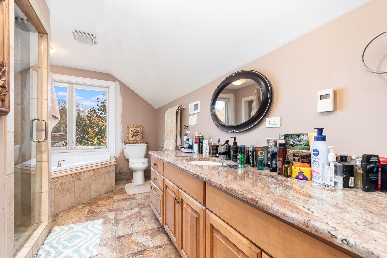 2207 Jericho Road Aurora, IL 60506 - Photo 12 of 18 a bathroom with a double vanity sink and a mirror