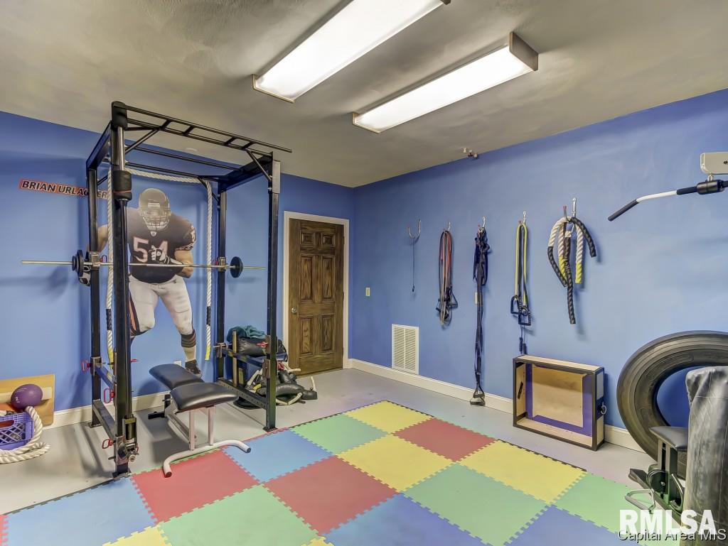 7265 New City Road Rochester, IL 62563 - Photo 20 of 28 Gallery Image 20