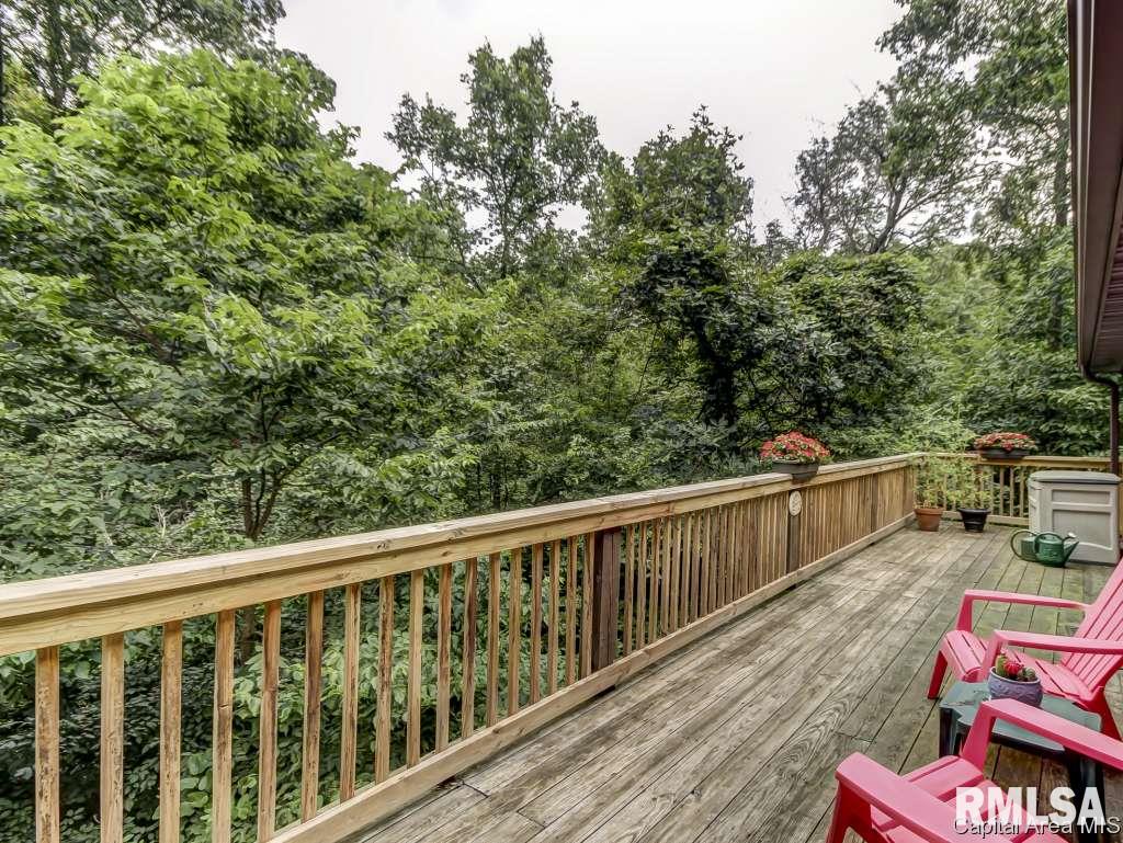 7265 New City Road Rochester, IL 62563 - Photo 21 of 28 Gallery Image 21
