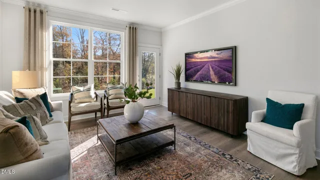 a living room with furniture and a potted plant