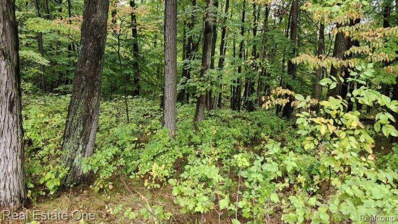 -curtis Rd Curtis Road Leonard, MI 48367 - Photo 10 of 11