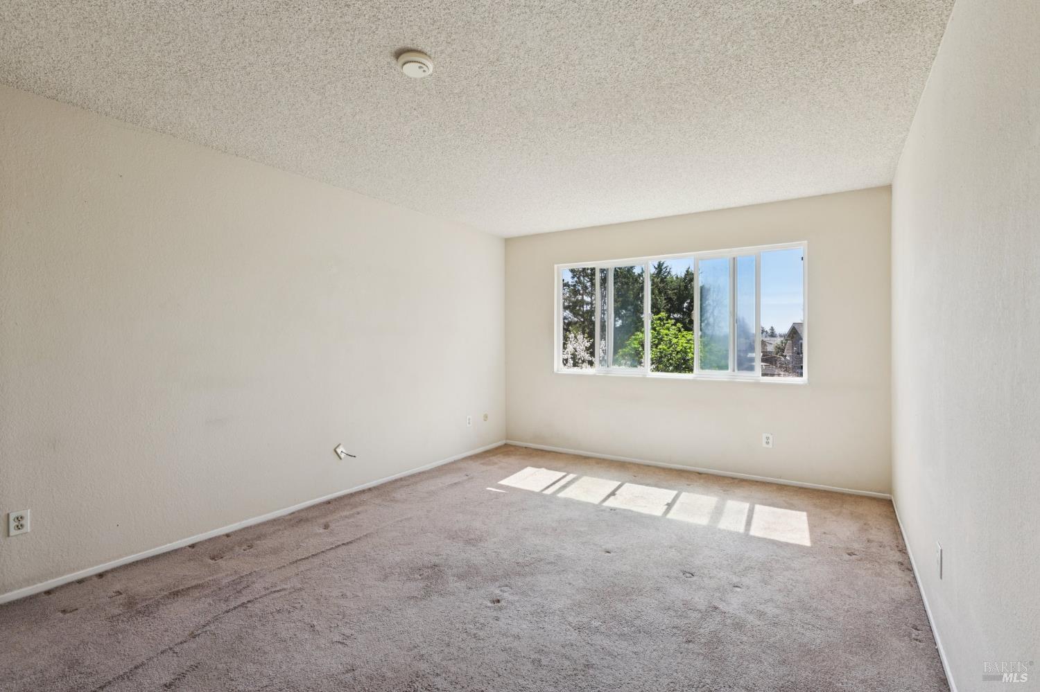 1553 Holly Avenue Rohnert Park, CA 94928 - Photo 21 of 29