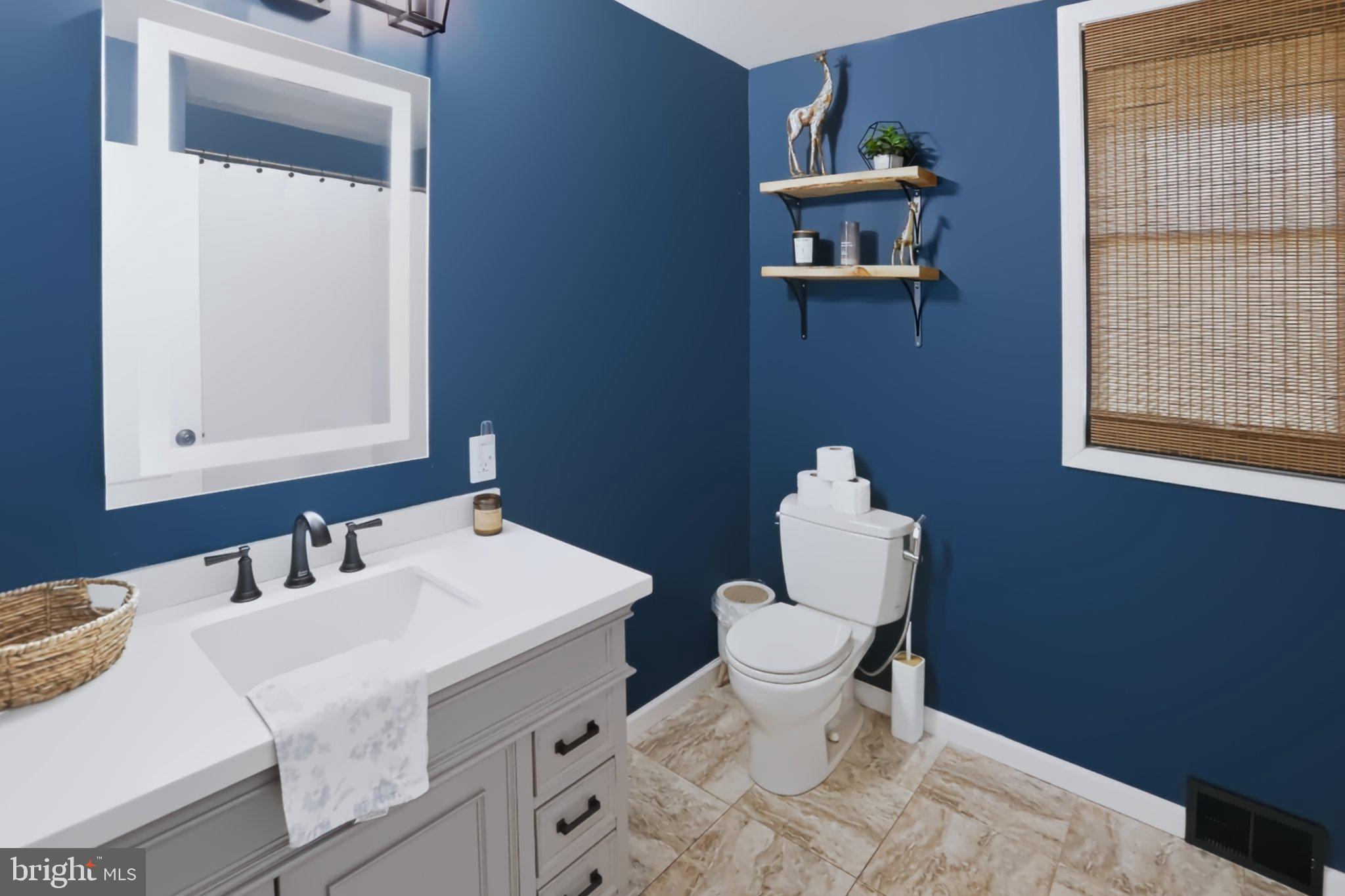 44 Worman Road Douglassville, PA 19518 - Photo 35 of 69 Chic blue bathroom with modern accents.