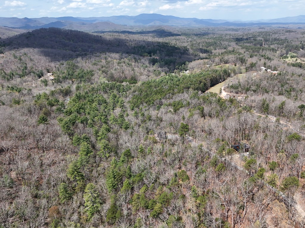 Lot 117 Laurel Trace Blue Ridge, GA 30513 - Photo 12 of 20 Gallery Image 12