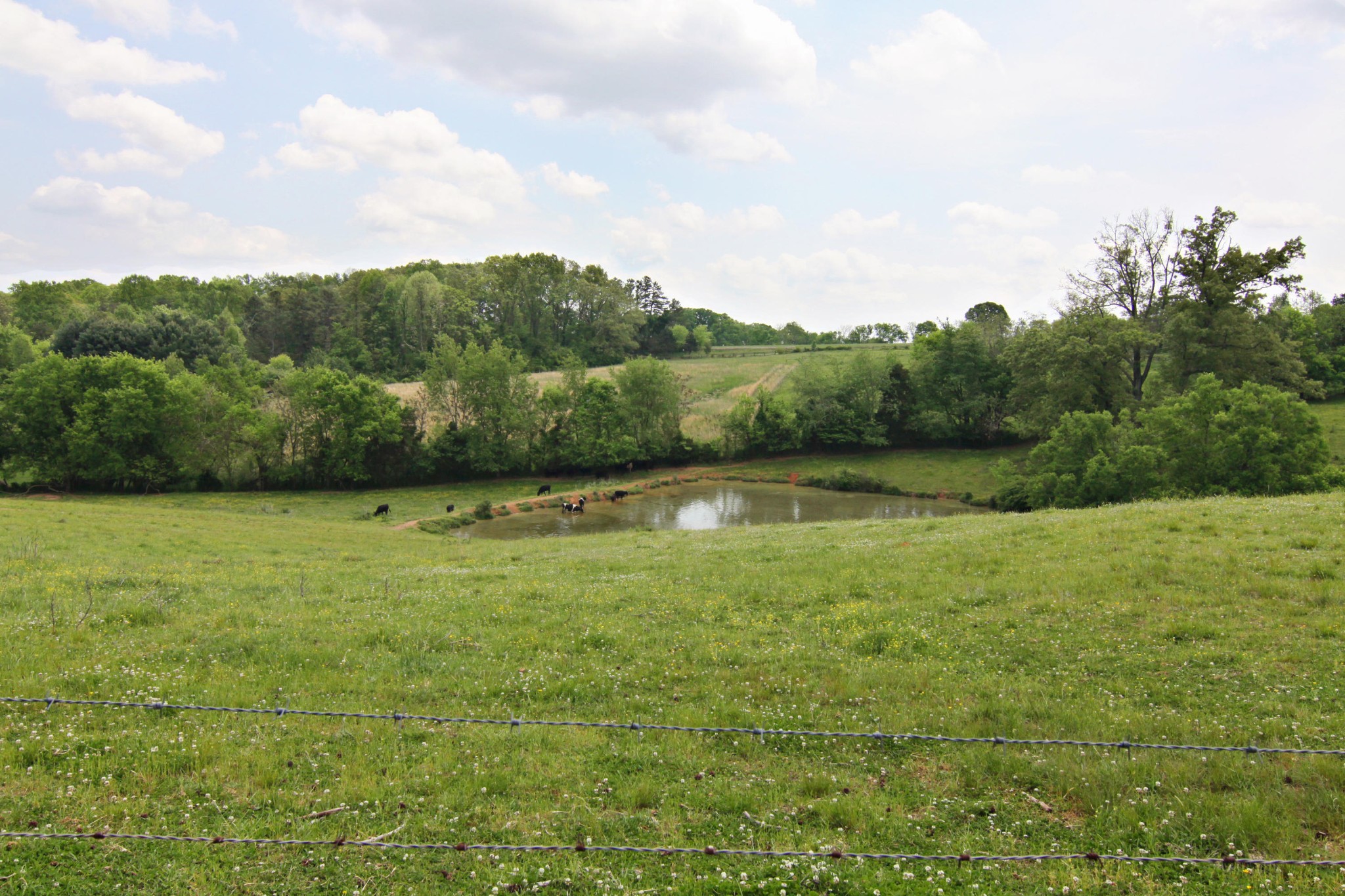 3848 Dry Valley Road Philadelphia, TN 37846 - Photo 16 of 30