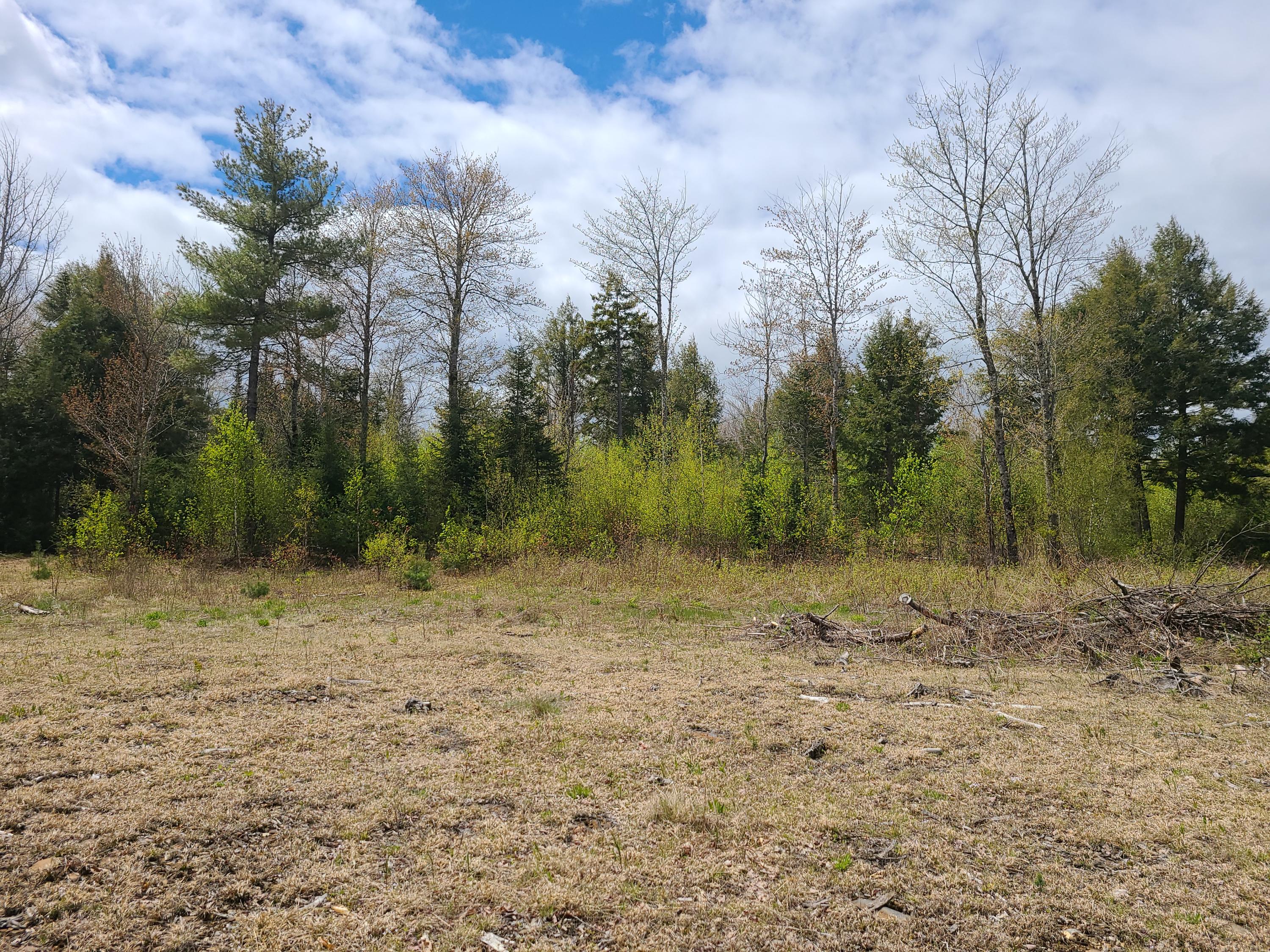 65 Quint Road Burlington, ME 04417 - Photo 8 of 10 20210512_115312