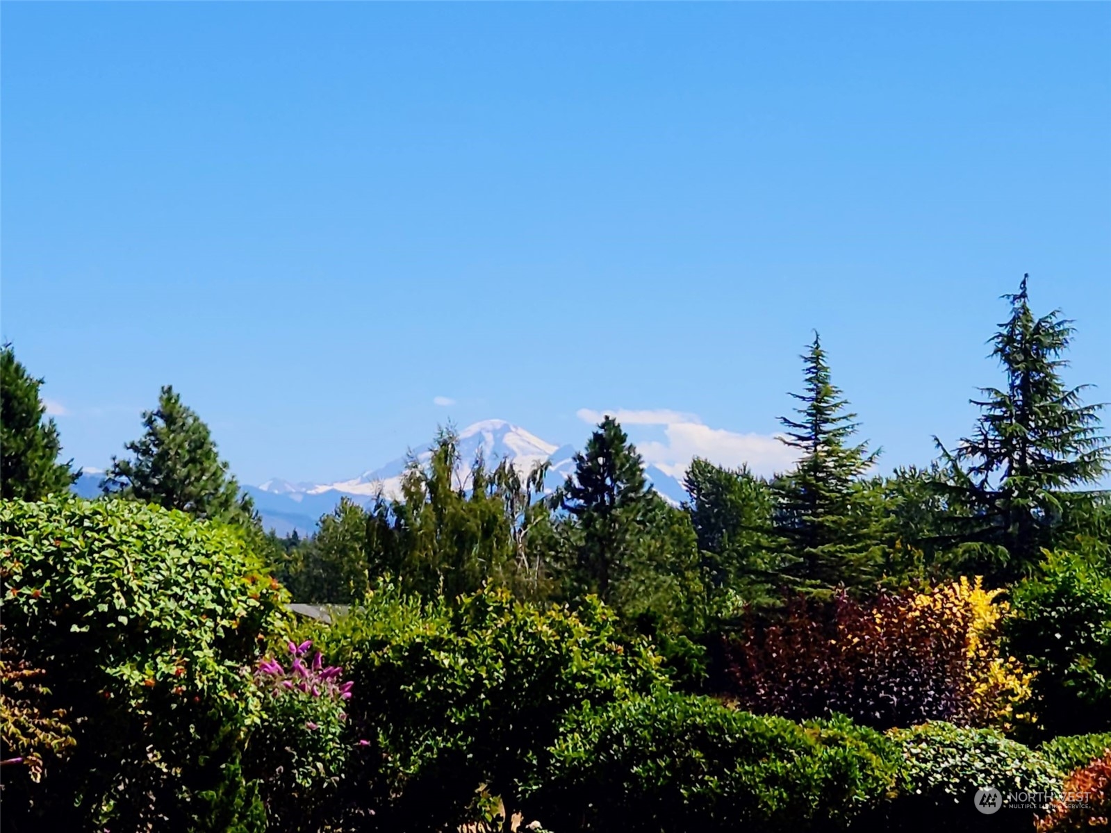 1261 Central Road Everson, WA 98247 - Photo 36 of 40 a view of a lake