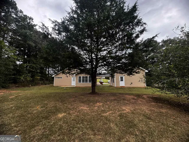a trees in the middle of a yard