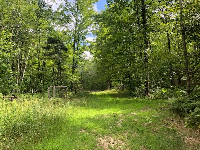 8129 Riley Road Farwell, MI 48622 - Photo 36 of 40 1877842-35.JPG