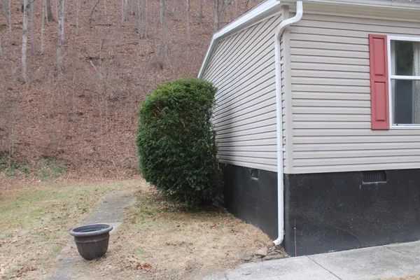 a view of a back yard of the house