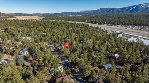 a view of a forest with a mountain