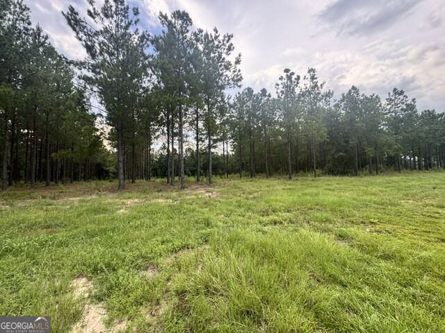 0 Dewey Thomas Road Dexter, GA 31019 - Photo 3 of 8 Gallery Image 3
