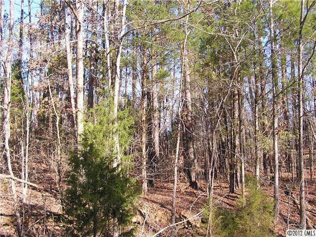 6-ac Ebenezer Road Smyrna, SC 29743 - Photo 2 of 4 Gallery Image 2