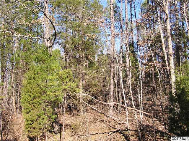 6-ac Ebenezer Road Smyrna, SC 29743 - Photo 3 of 4 Gallery Image 3