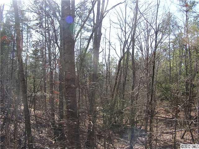 6-ac Ebenezer Road Smyrna, SC 29743 - Photo 4 of 4 Gallery Image 4