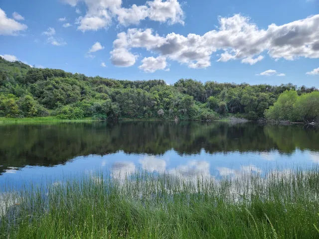 an aerial view of a forest with houses
