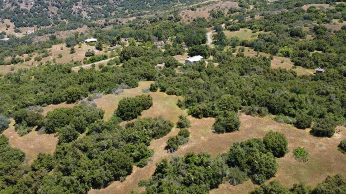 44001 Dunlap Road Miramonte, CA 93641 - Photo 2 of 91 an aerial view of a forest with houses